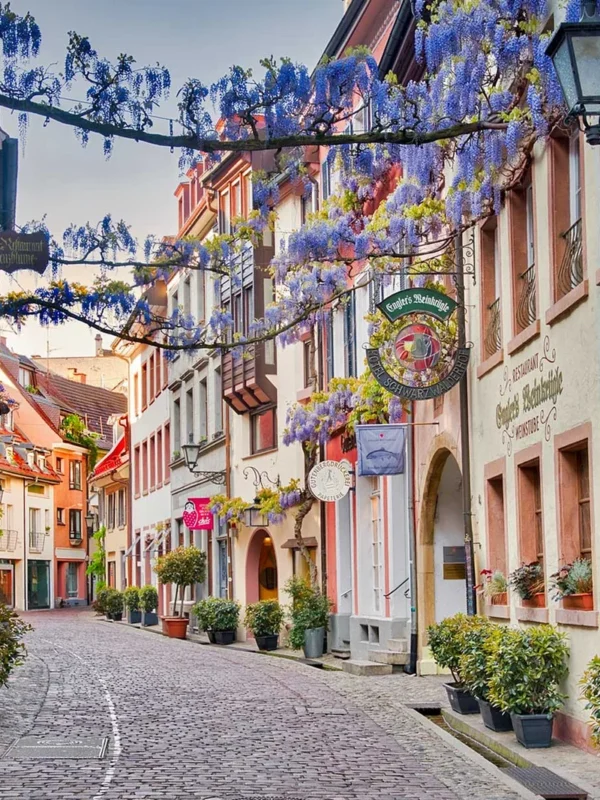 Visita guiada bilingüe por Friburgo