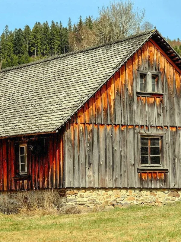 Guía turística de la Selva Negra