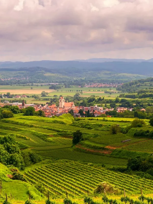 Rutas por Kaiserstuhl