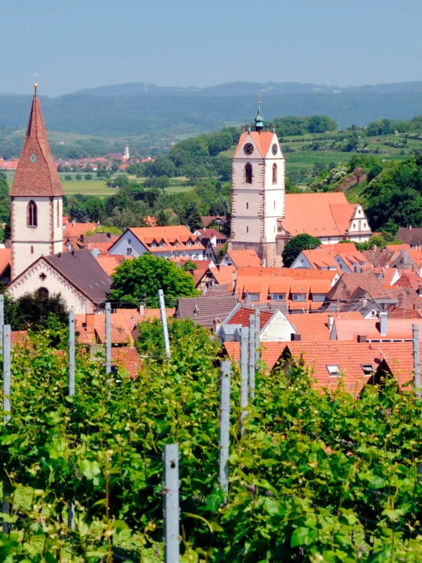 Stadtführung Kaiserstuhl & Tuniberg Deutschland