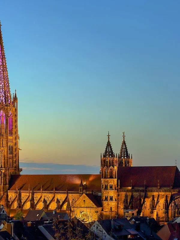 Catedral de Friburgo