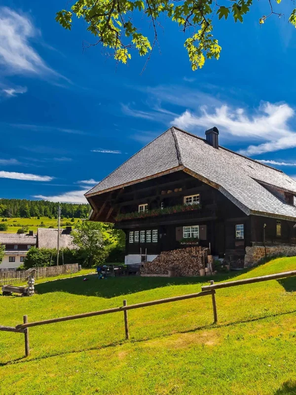 Stadtführung Schwarzwald Deutschland