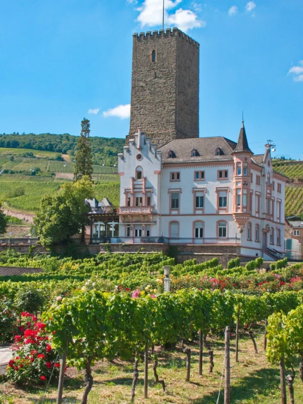 Excursiones por Rüdesheim